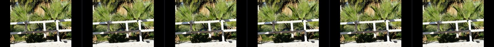 result frames