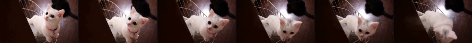 source frames