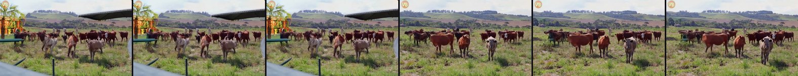 result frames