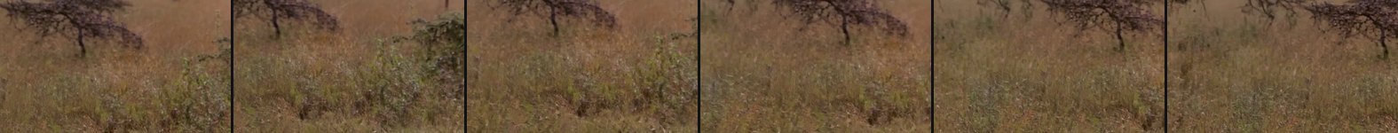 result frames