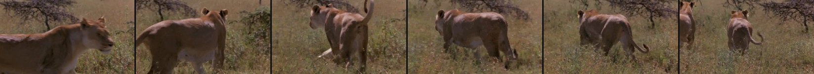 source frames