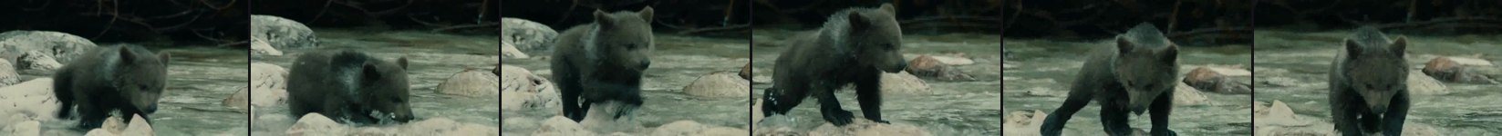 source frames